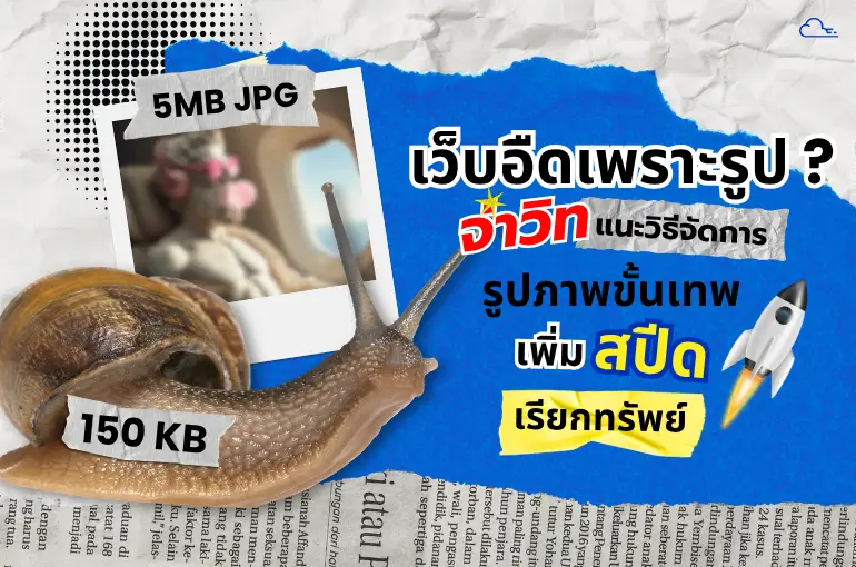 ขนาดรูปสำหรับเว็บไซต์ 2